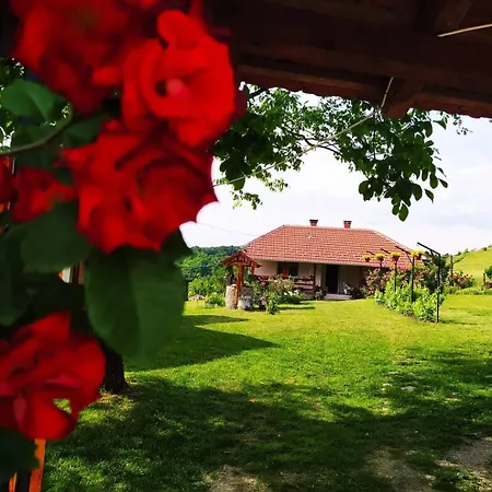 Kuca Za Odmor Zdravac Holiday home Kragujevac