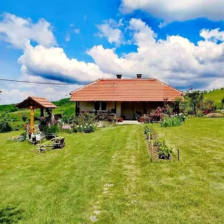 Kuca Za Odmor Zdravac Holiday home *