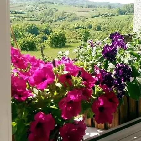 Kuca Za Odmor Zdravac Holiday home