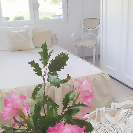 Kuca Za Odmor Zdravac Holiday home *