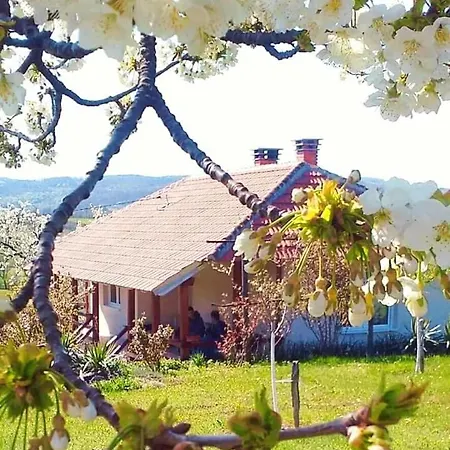 Kuca Za Odmor Zdravac Kragujevac
