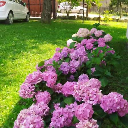 Kuca Za Odmor Zdravac Holiday home *