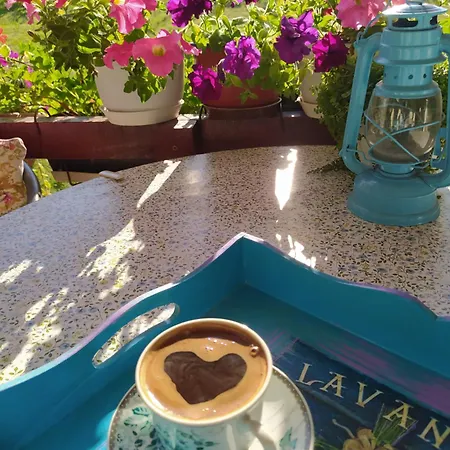 Kuca Za Odmor Zdravac Holiday home