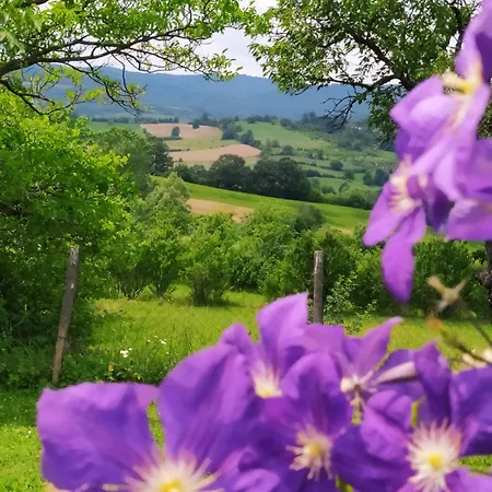Kuca Za Odmor Zdravac *