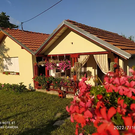 Kuca Za Odmor Zdravac Holiday home