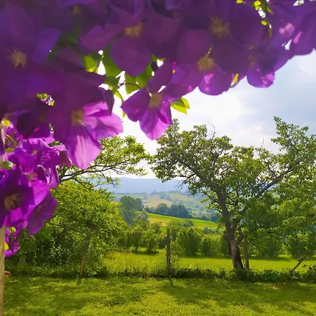 Kuca Za Odmor Zdravac Holiday home